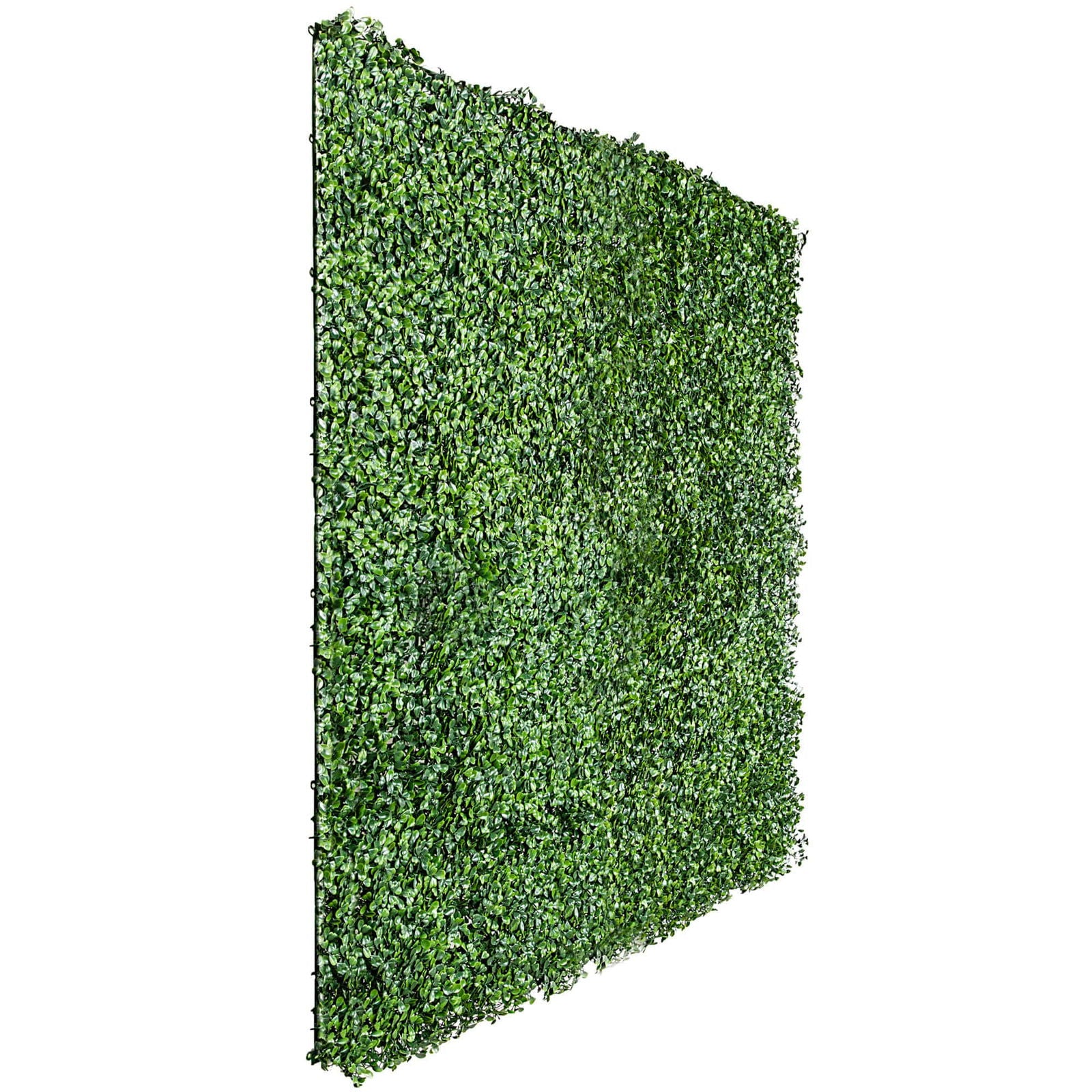 Boxwood Hedge Screen Green Wall Panel UV Resistant 100cm x 100cm V637-DP1000500