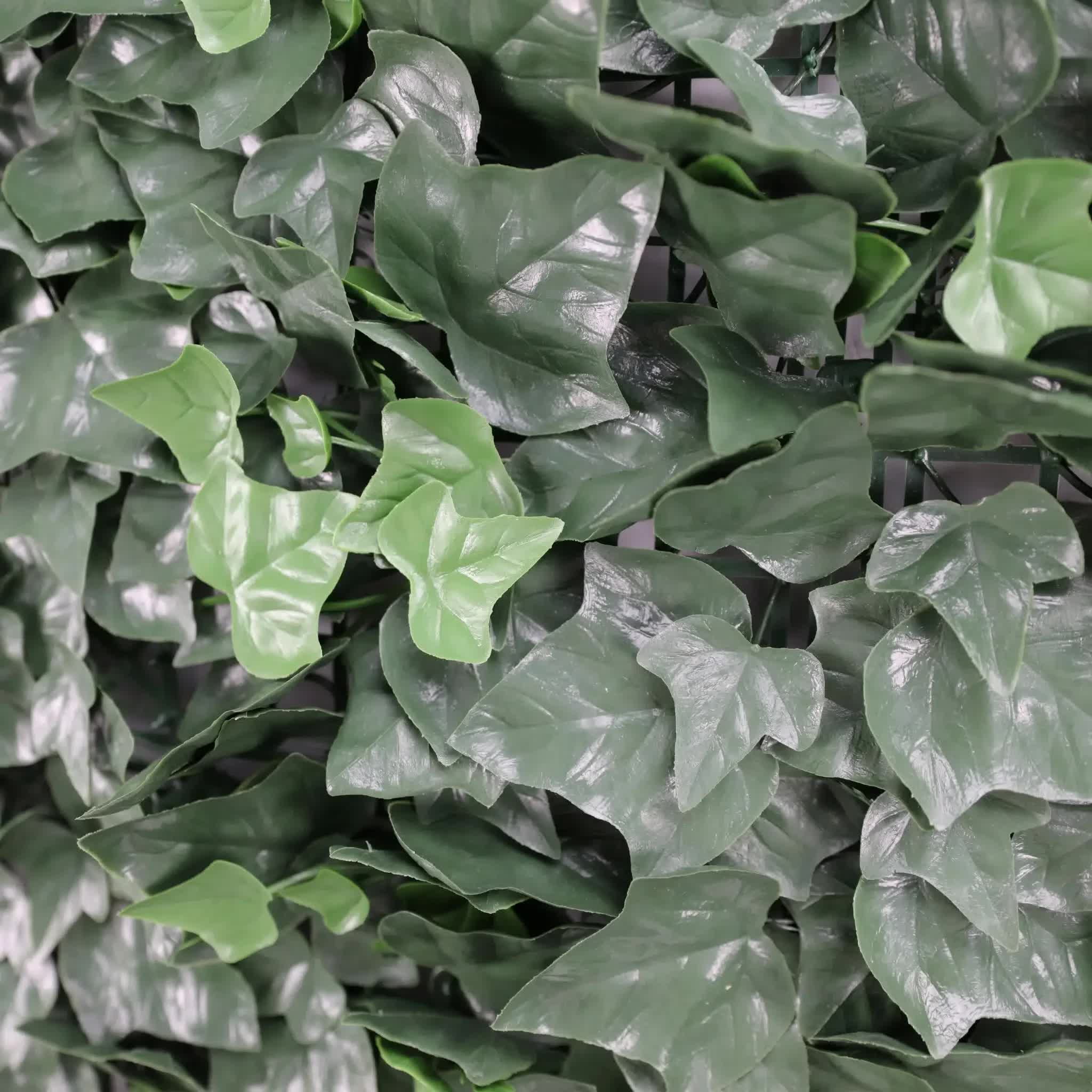 Boston Ivy Leaf Screen Green Wall Panel UV Resistant 1m x 1m V637-DP1000508