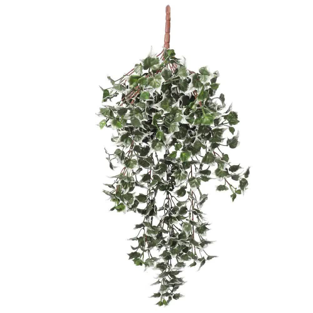 Mixed Green and White Tipped Ivy Bush 80cm UV Resistant V637-DP1000699