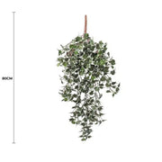 Mixed Green and White Tipped Ivy Bush 80cm UV Resistant V637-DP1000699