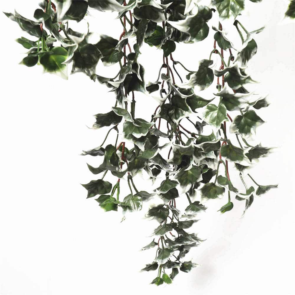 Mixed Green and White Tipped Ivy Bush 80cm UV Resistant V637-DP1000699