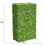 Large Portable Mixed Boxwood Hedge UV Resistant 100cm Long x 200cm High V637-DP1001780