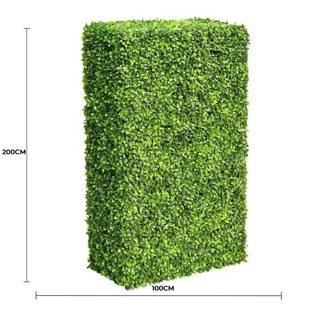 Large Portable Mixed Boxwood Hedge UV Resistant 100cm Long x 200cm High V637-DP1001780