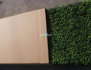 Large Portable Mixed Boxwood Hedge UV Resistant 100cm Long x 200cm High V637-DP1001780