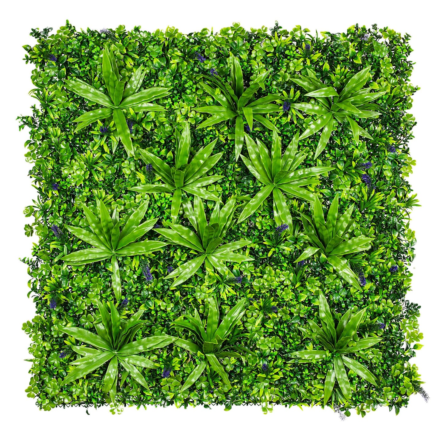 Lavandula Vertical Garden / Green Wall UV Resistant SAMPLE V637-DP1004614-S