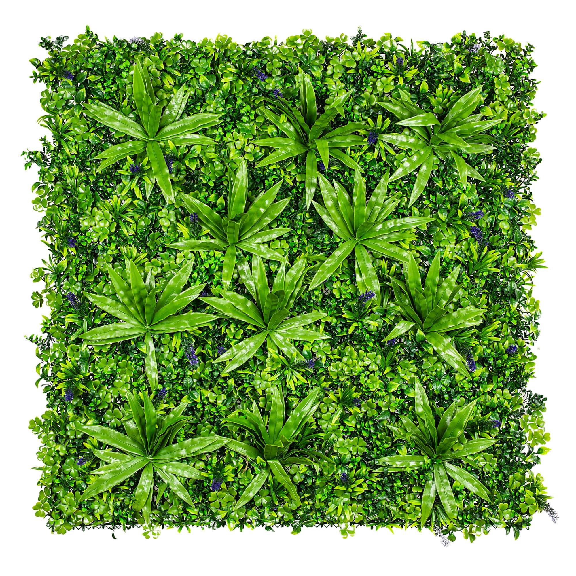 Lavandula Vertical Garden / Green Wall UV Resistant SAMPLE V637-DP1004614-S