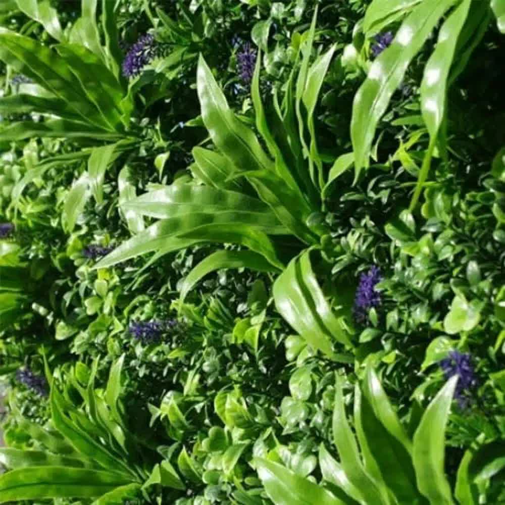 Lavandula Vertical Garden / Green Wall UV Resistant SAMPLE V637-DP1004614-S
