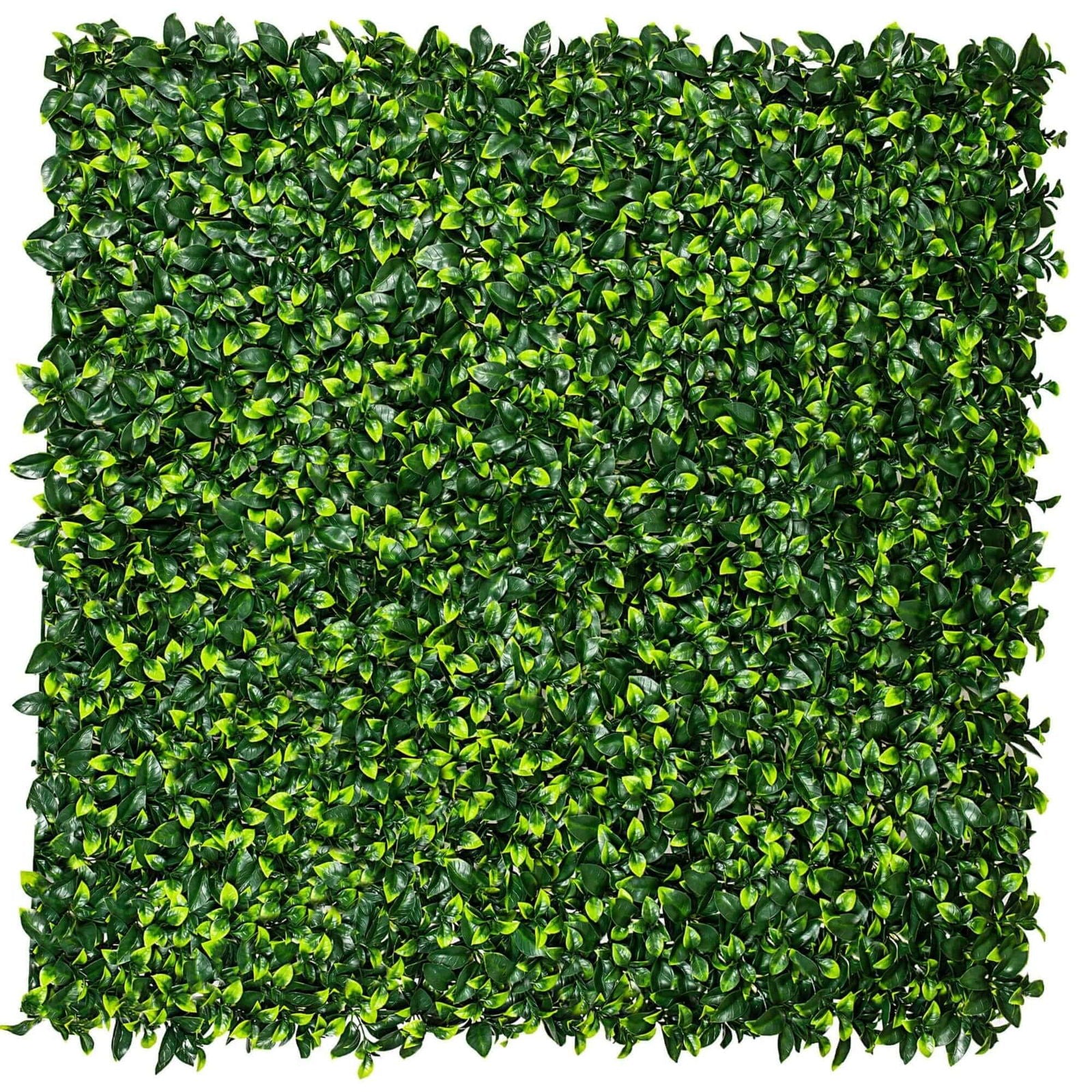 Jasmine Hedge Screen Green Wall Panel UV Resistant 100cm x 100cm V637-DP1004628