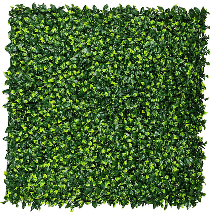Jasmine Hedge Screen Green Wall Panel UV Resistant 100cm x 100cm V637-DP1004628