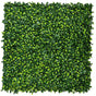 Jasmine Hedge Screen Green Wall Panel UV Resistant 100cm x 100cm V637-DP1004628