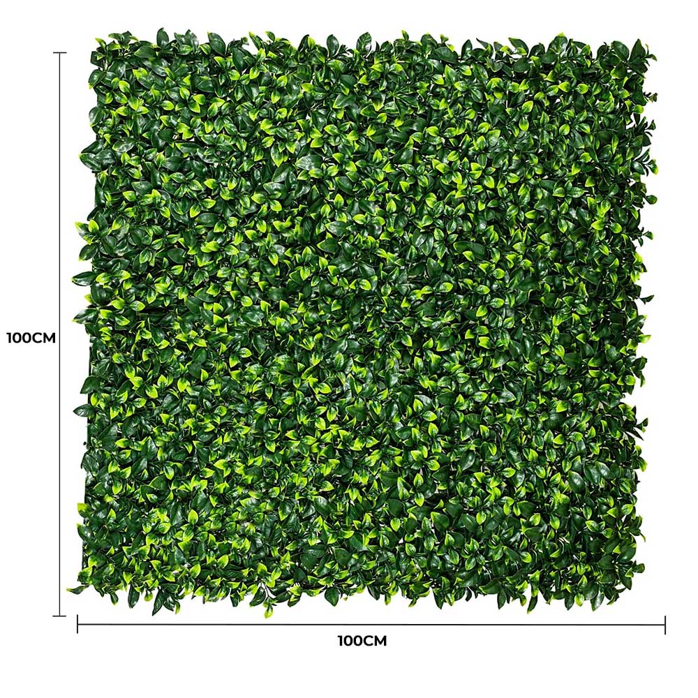 Jasmine Hedge Screen Green Wall Panel UV Resistant 100cm x 100cm V637-DP1004628