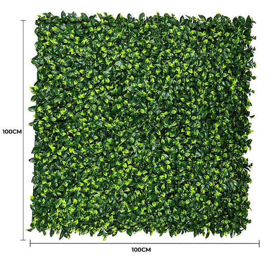 Jasmine Hedge Screen Green Wall Panel UV Resistant 100cm x 100cm V637-DP1004628