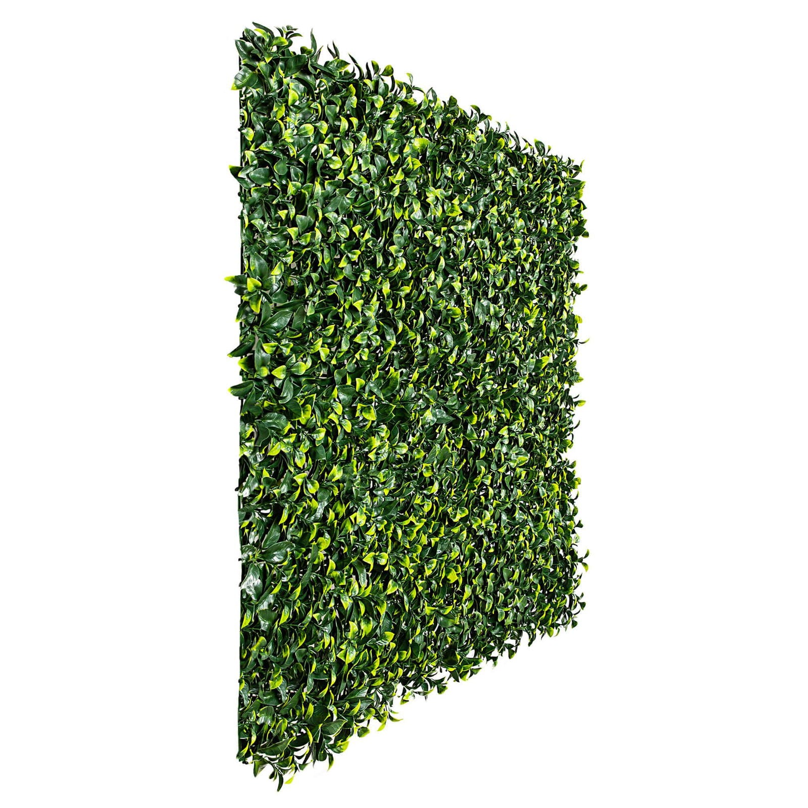 Jasmine Hedge Screen Green Wall Panel UV Resistant 100cm x 100cm V637-DP1004628
