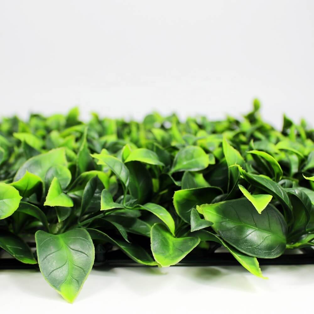 Jasmine Hedge Screen Green Wall Panel UV Resistant 100cm x 100cm V637-DP1004628