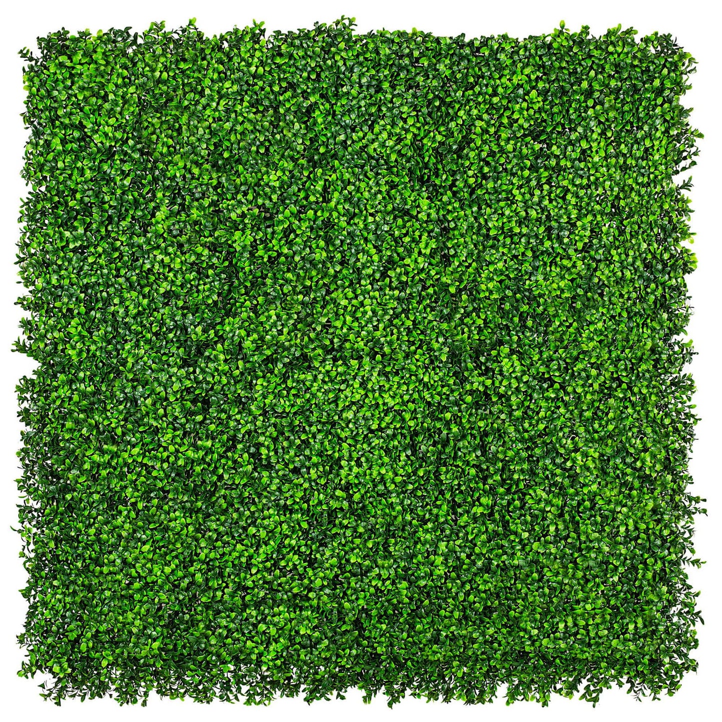 Luxury Deluxe Buxus (Bright) Hedge Panels UV Resistant 1m X 1m V637-DP1005795