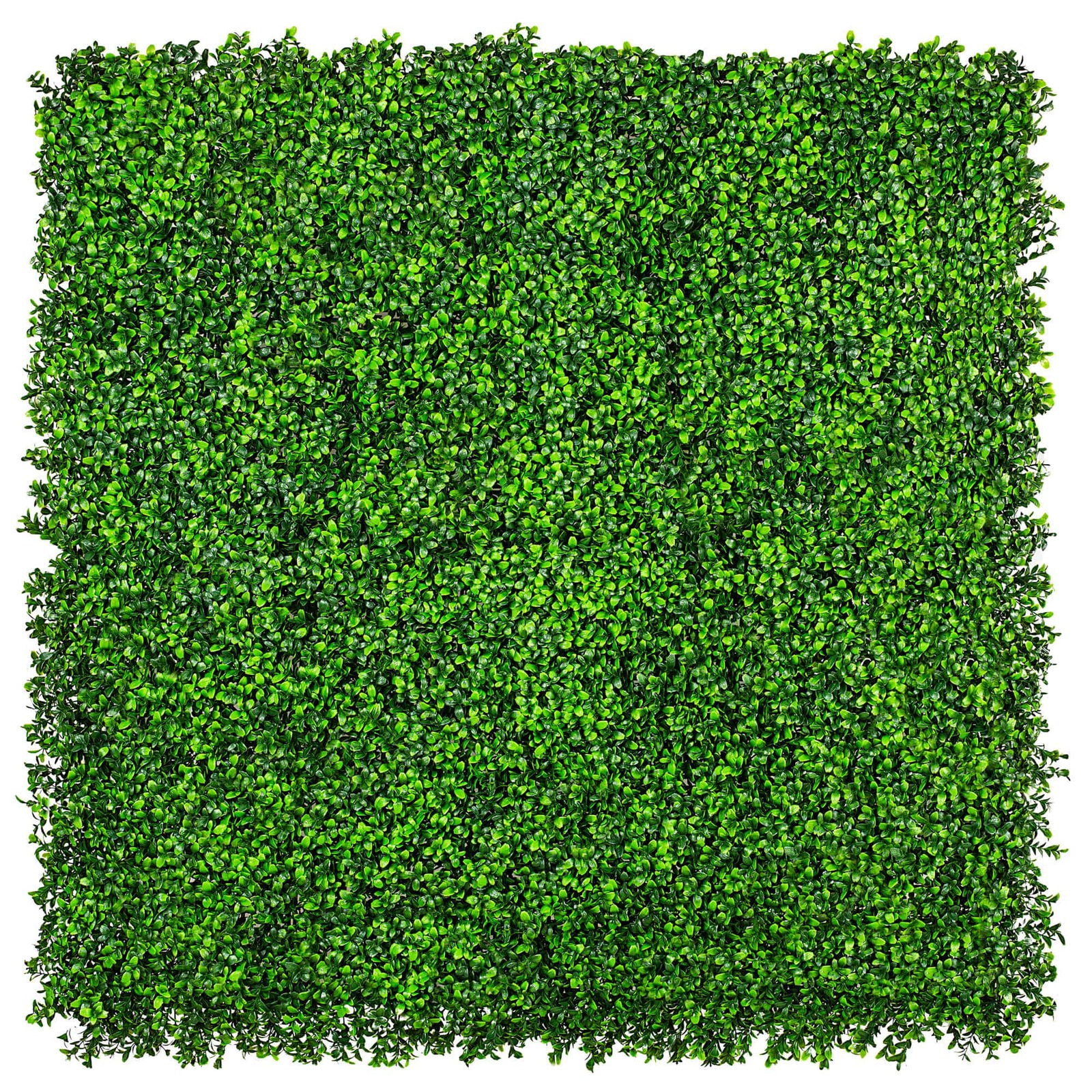 Luxury Deluxe Buxus (Bright) Hedge Panels UV Resistant 1m X 1m V637-DP1005795