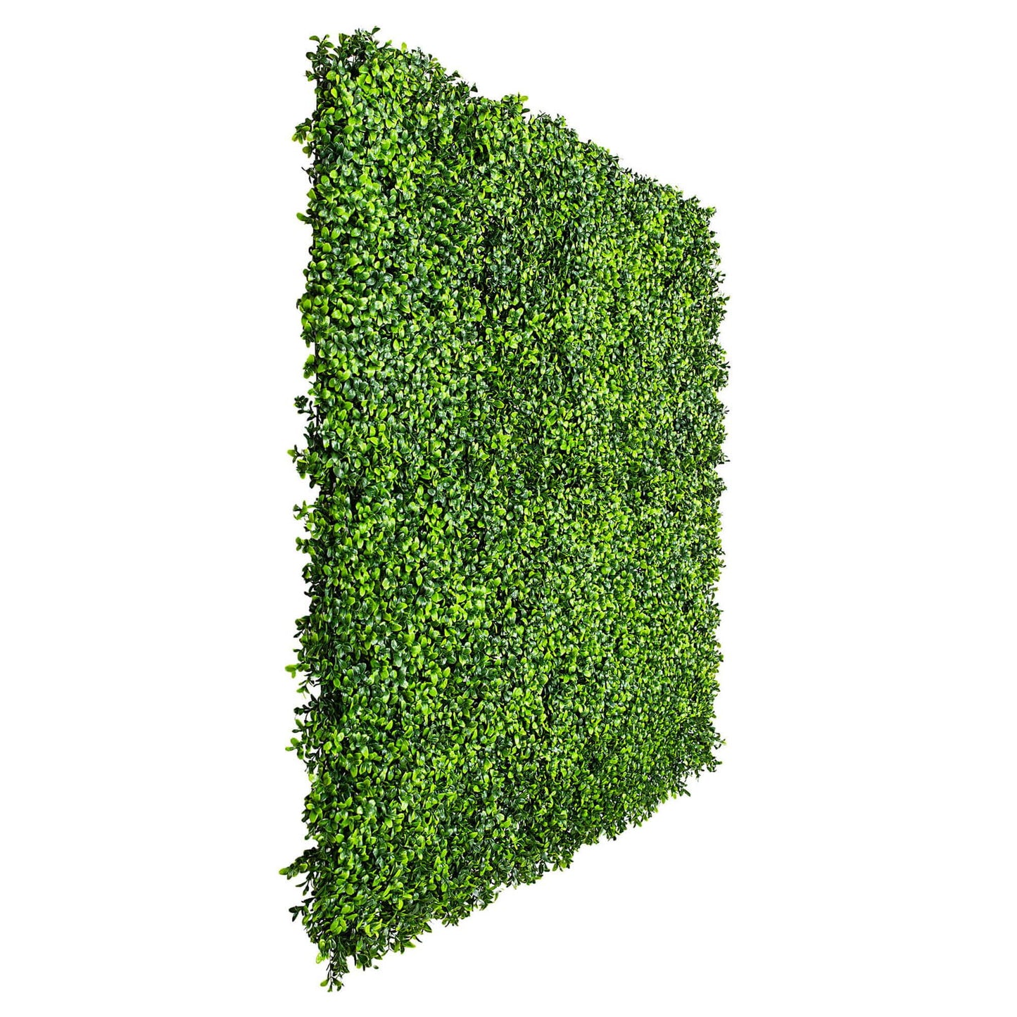 Luxury Deluxe Buxus (Bright) Hedge Panels UV Resistant 1m X 1m V637-DP1005795