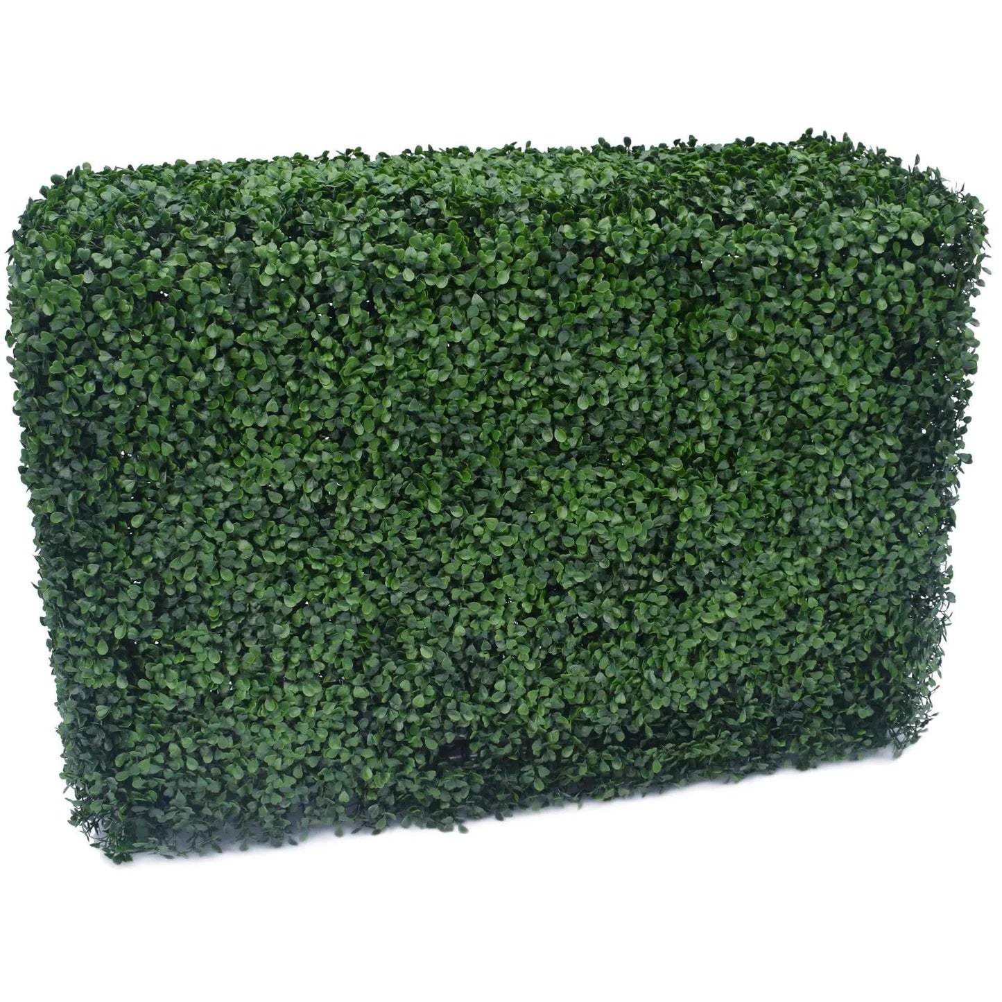 Portable Artificial Boxwood Hedge UV Resistant 75cm High 100cm Long V637-DP1006821