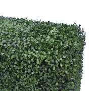 Portable Artificial Boxwood Hedge UV Resistant 75cm High 100cm Long V637-DP1006821