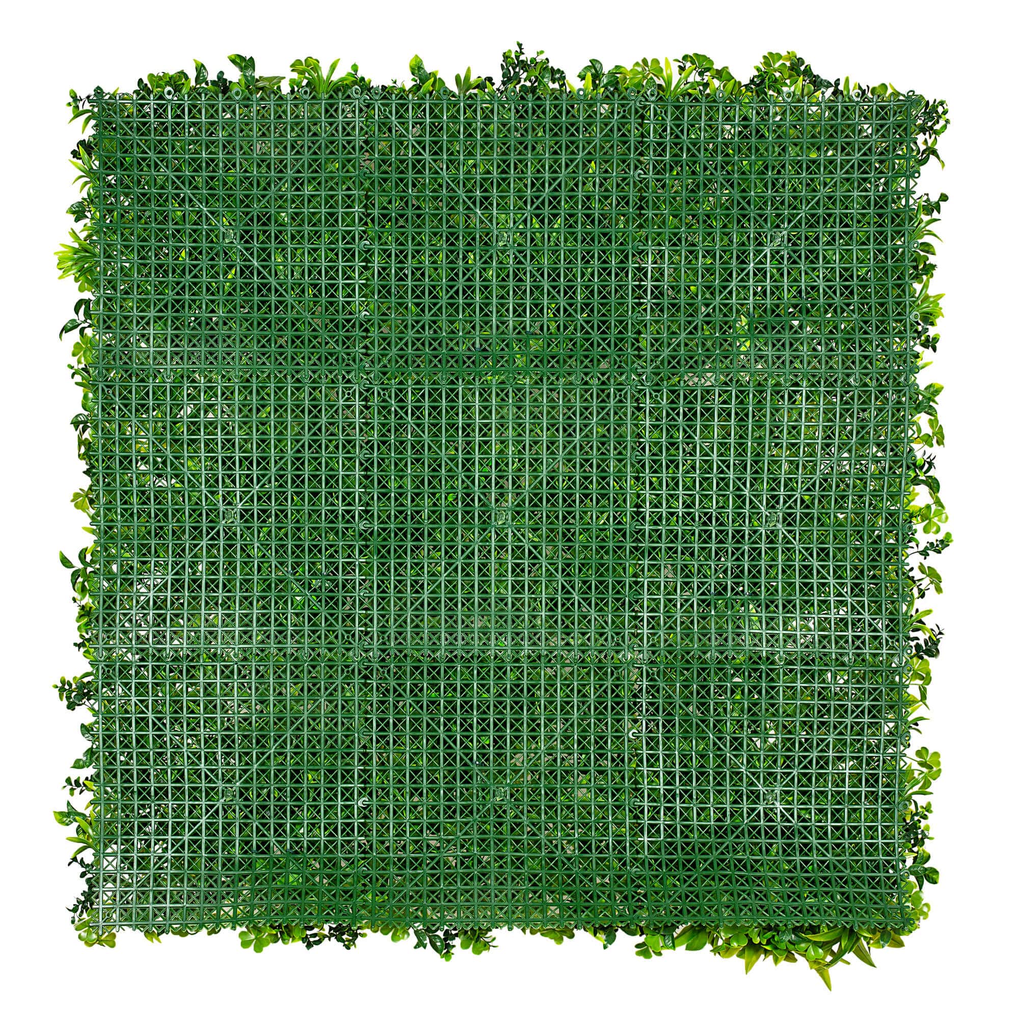 Luxury White Oasis Vertical Garden / Green Wall UV Resistant 1m x 1m V637-DP1008038