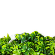 White Oasis UV Stabilised Vertical Garden Wall Premium Sample V637-DP1008038-S