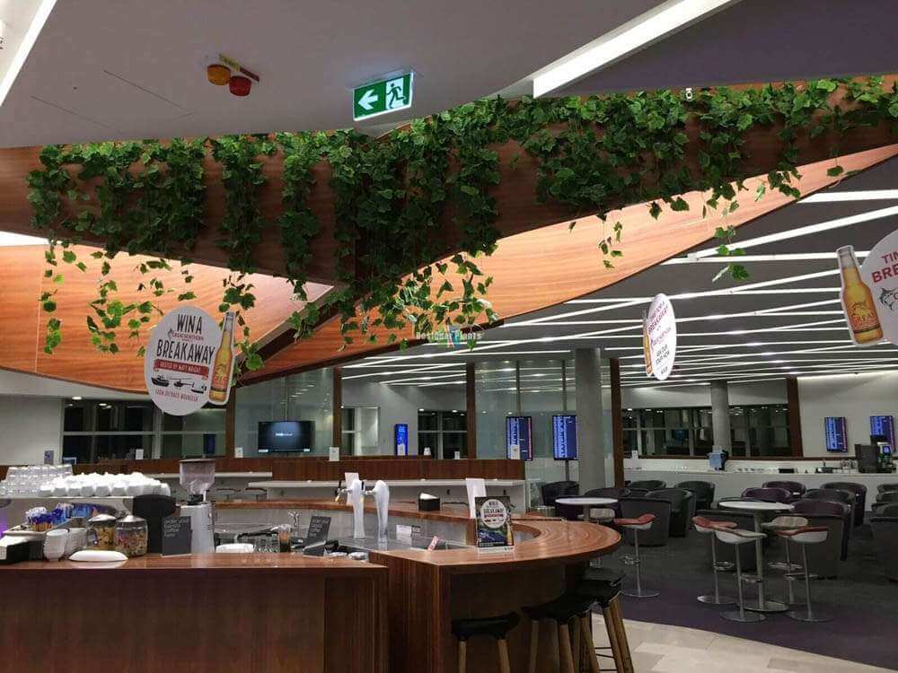 Ivy Garland Vines 260cm Each ? 5 Per Pack V637-DP1008633