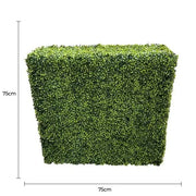 Mixed Boxwood Hedge UV Resistant 75cm Long x 75cm High V637-DP1009439MBW