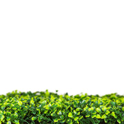 Mixed Boxwood Hedge UV Resistant 75cm Long x 75cm High V637-DP1009439MBW