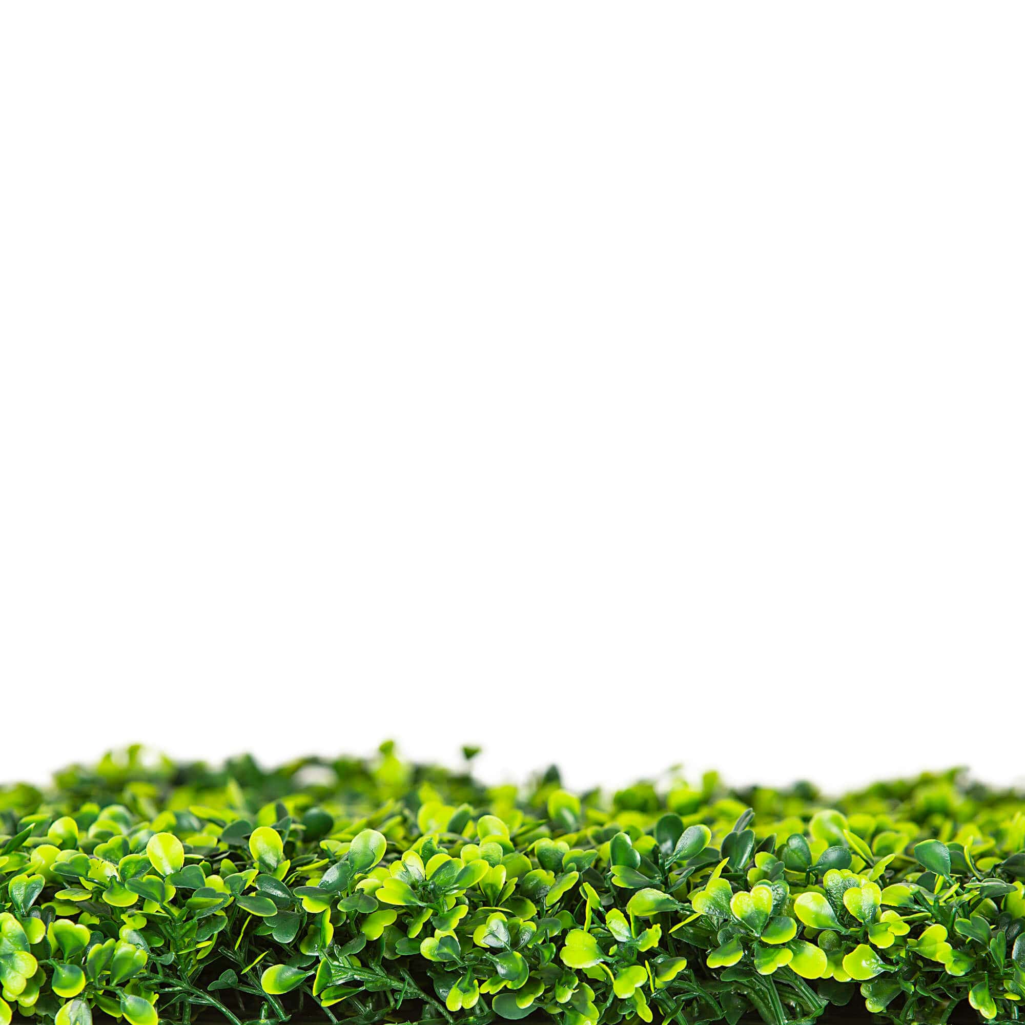 Mixed Boxwood Hedge UV Resistant 75cm Long x 75cm High V637-DP1009439MBW