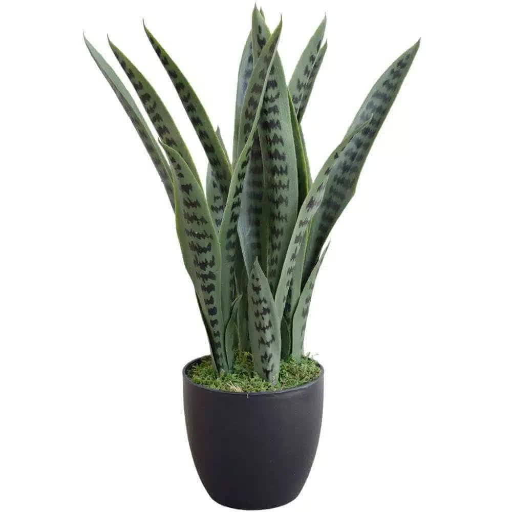 Artificial Snake Plant Sansevieria UV Resistant 60cm V637-DP1009514