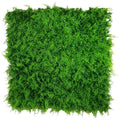 Mediterranean Fern Vertical Garden / Green Wall UV Resistant 1m x 1m V637-DP1010106