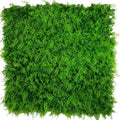 Mediterranean Fern Vertical Garden / Green Wall UV Resistant SAMPLE V637-DP1010106-S