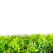 Mediterranean Fern Vertical Garden / Green Wall UV Resistant SAMPLE V637-DP1010106-S