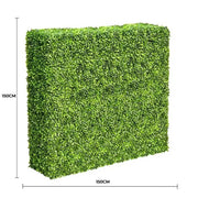 Large Portable Mixed Boxwood Hedge 1.5m by 1.5m UV Resistant V637-DP1012231