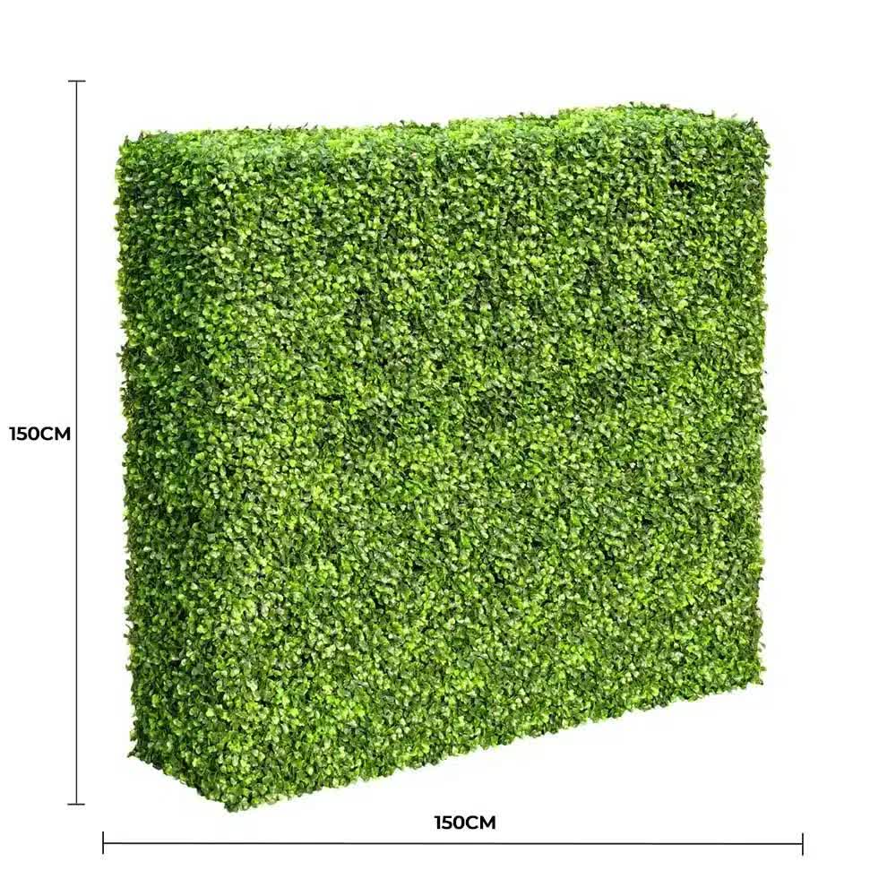 Large Portable Mixed Boxwood Hedge 1.5m by 1.5m UV Resistant V637-DP1012231
