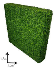 Large Portable Mixed Boxwood Hedge 1.5m by 1.5m UV Resistant V637-DP1012231