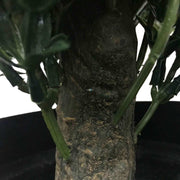 Artificial Topiary Shrub (Hedyotis) UV Resistant 50cm V637-DP1012734