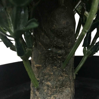 Artificial Topiary Shrub (Hedyotis) UV Resistant 50cm V637-DP1012734