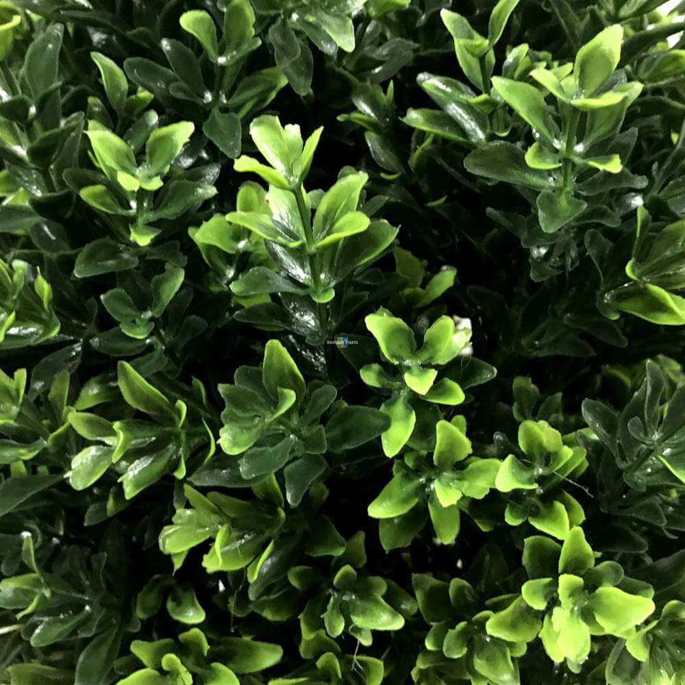 Artificial Topiary Shrub (Hedyotis) UV Resistant 50cm V637-DP1012734