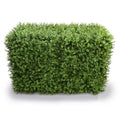 Deluxe Portable Buxus Hedge UV Resistant 100cm Long x 50cm High V637-DP1012744