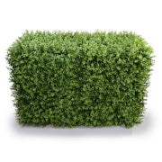 Deluxe Portable Buxus Hedge UV Resistant 100cm Long x 50cm High V637-DP1012744