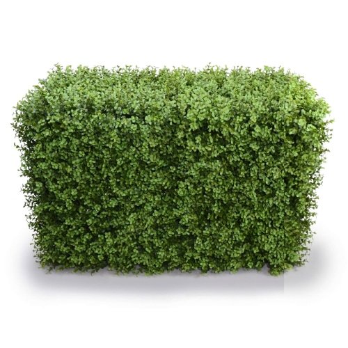 Deluxe Portable Buxus Hedge UV Resistant 100cm Long x 50cm High V637-DP1012744