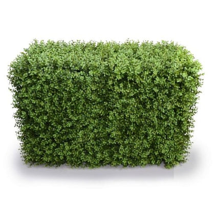 Deluxe Portable Buxus Hedge UV Resistant 100cm Long x 50cm High V637-DP1012744