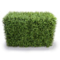 Deluxe Portable Buxus Hedge UV Resistant 100cm Long x 50cm High V637-DP1012744