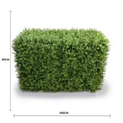 Deluxe Portable Buxus Hedge UV Resistant 100cm Long x 50cm High V637-DP1012744