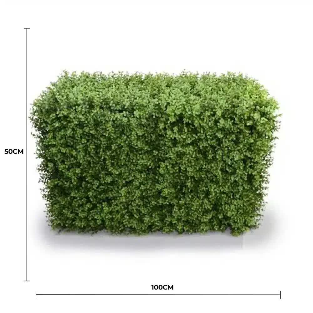 Deluxe Portable Buxus Hedge UV Resistant 100cm Long x 50cm High V637-DP1012744