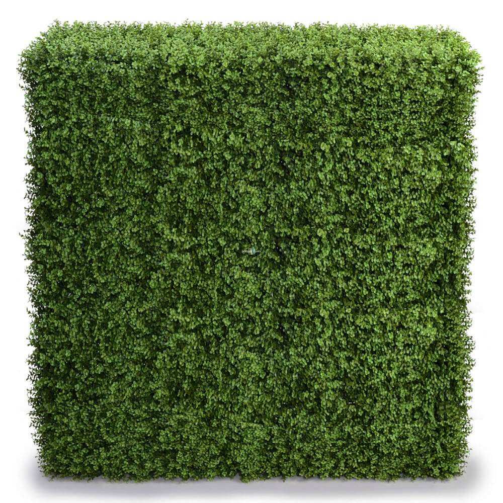 Deluxe Portable Buxus Hedge UV Resistant 150cm Long x 150cm High V637-DP1012755