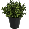 Small Potted Artificial Buxus Plant UV Resistant 20cm V637-DP1013001