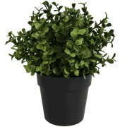 Small Potted Artificial Buxus Plant UV Resistant 20cm V637-DP1013001