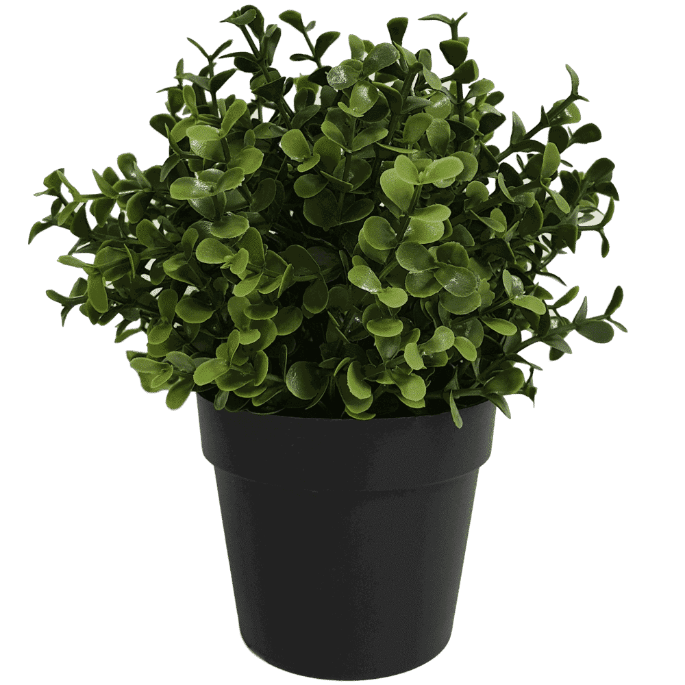 Small Potted Artificial Buxus Plant UV Resistant 20cm V637-DP1013001
